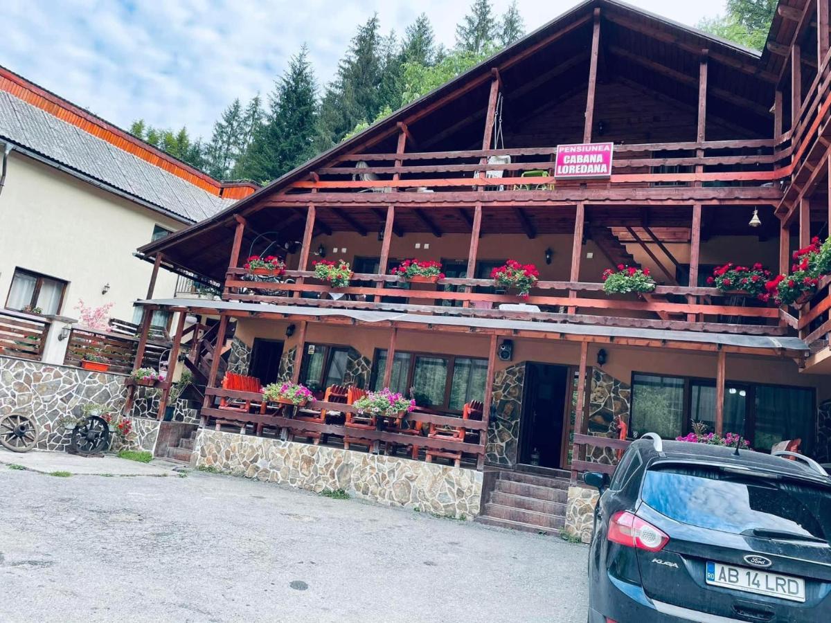 Cabana Loredana Vadu Motilor 외부 사진
